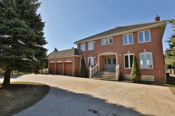 For Lease - 5640 Fifth Line Unit# Lower, Milton, Ontario - Photo 1