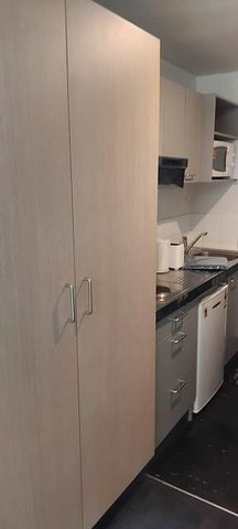 Central Auckland studio apartment Oasis with Pool! - Photo 3