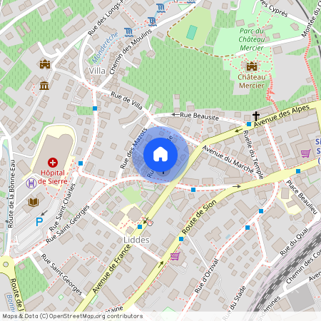 Rue De La Treille 5, 3960 Sierre