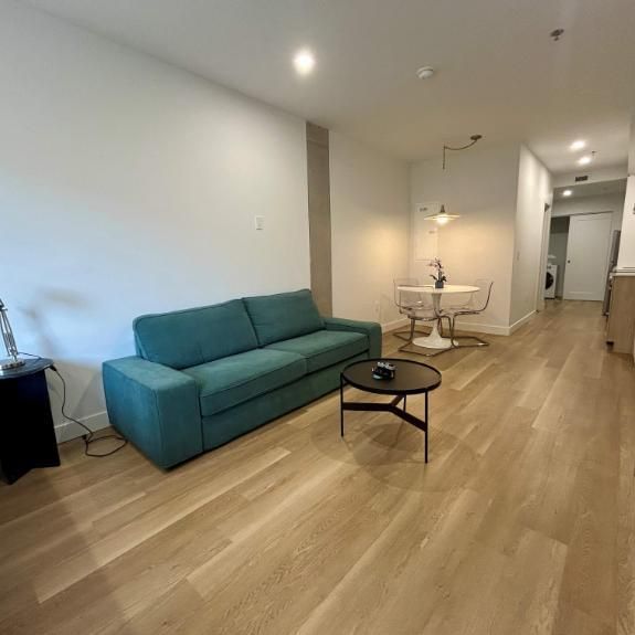 Studio - Montréal - $1,795 /mo - Photo 1