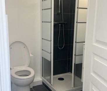 Magnifique studio 16m² sous les toits - Photo 5