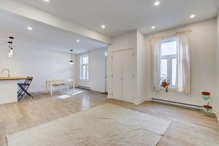 Appartement à louer - Montréal (Ville-Marie) (Village) - Photo 2