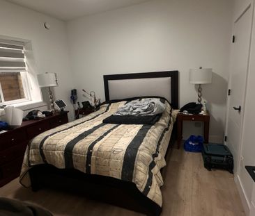 13185 236b St, Maple Ridge (Ground Level Basement) - Photo 4