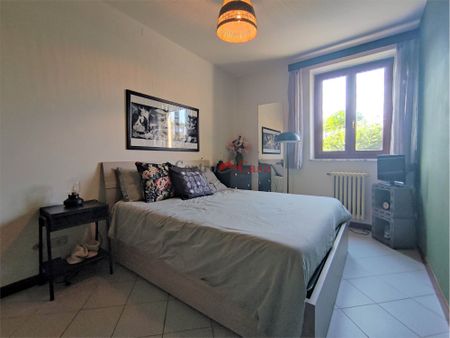 Grazioso tricolare in contesto di corte. - Photo 5