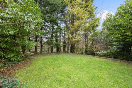 4 bedroom detached house to rent - Photo 4
