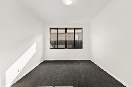 Rutherford - Photo 3