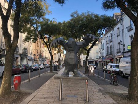 Location Appartement 2 pièces 22m² TOURS 37000 - Photo 5