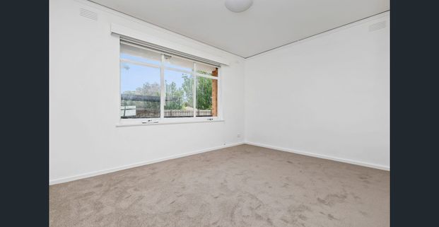 Renovated Beauty - Photo 1