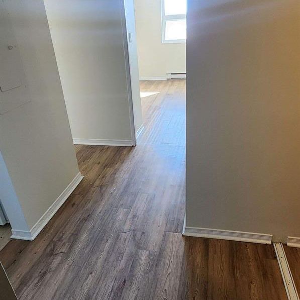 1 CH - 1 SDB - Gatineau - $1,335 /mo - Photo 1