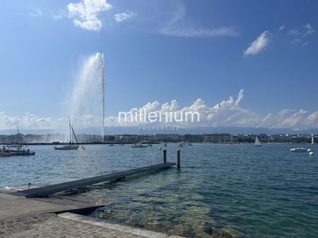 Appartement meublé au quartier des Eaux-Vives - Foto 4