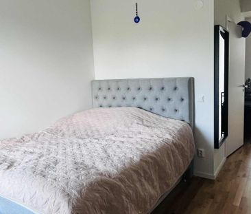 Orions bälte, Brandbergen - Photo 4