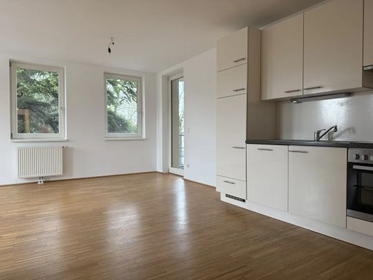 Unbefristet: Modernisierte Altbauwohnung mit Loggia Hochstraße 11 Top 13 - Photo 1