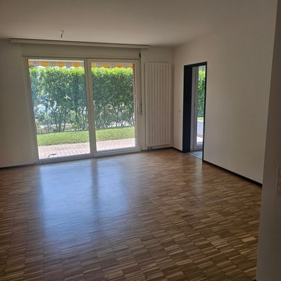 Helles 3.5-Zimmer-Apartment in Manno mit Garten – ab September verfügbar - Foto 1