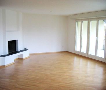 Dream home on the Reuss River - Foto 1