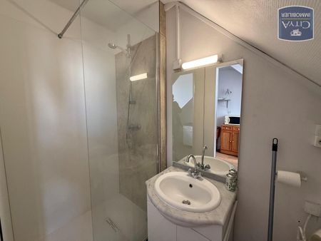 Location Appartement 1 pièce 13m² CHAMBERY 73000 - Photo 4