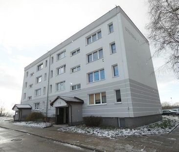 Gdynia Pogórze, kadm. Włodzimierza Brunona Steyera - Photo 5