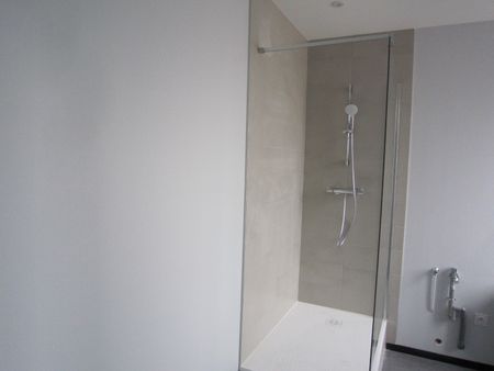 Location Appartement 3 pièces 58m² POUILLY SOUS CHARLIEU 42720 - Photo 4
