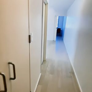 113 Portman St, Sydney - Photo 3