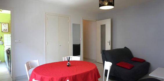 Location Appartement 2 pièces Meublé 46m² ANNECY 74000 - Photo 3