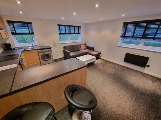 1 bedroom flat to rent - Photo 1