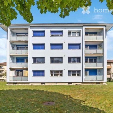 3.5 Zimmer, 70 m² - Photo 4