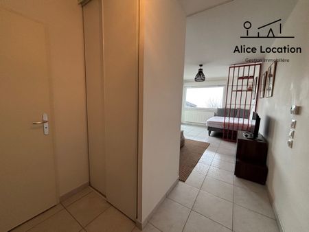 Location Appartement 1 pièce 29m² EVIAN LES BAINS 74500 - Photo 4