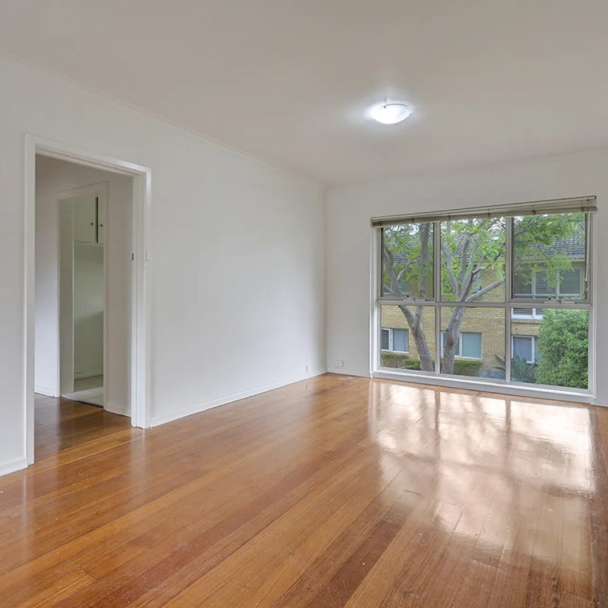 SPACIOUS, LIGHT-FILLED APARTMENT IN THE HEART OF SANDRINGHAM! - Photo 1