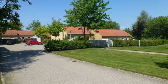 Afdeling 9 - Løgstør Boligforening - Foto 3