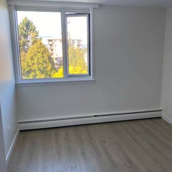 Point Grey One Bedroom - Photo 4