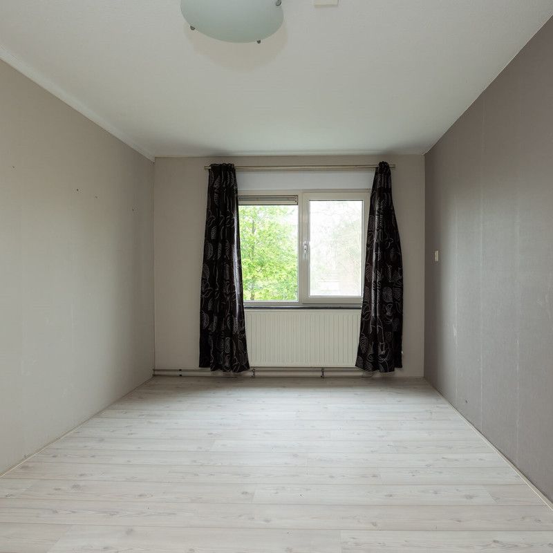 Poolster 128 - Foto 1