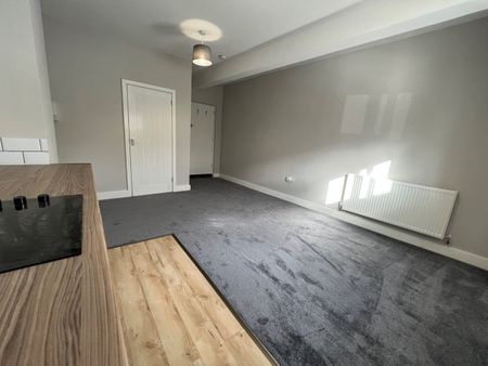 Studio Flat, Nottingham Road, NG6 - Photo 4