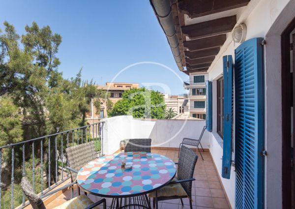Apartment for rent in Palma’s Old Town