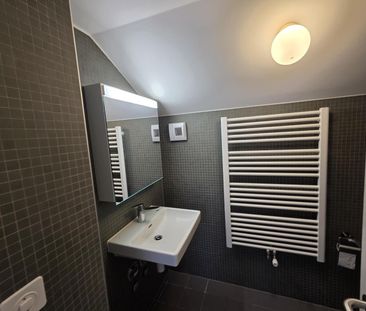 Charmant et spacieux 1,5 pièce rénové en 2022 - Photo 3