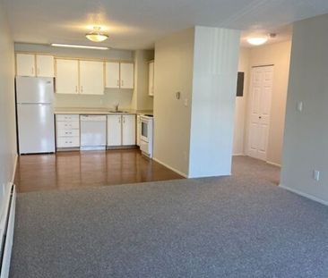 WINDSOR 1 BEDROOM * 1 Month Free! - Photo 6