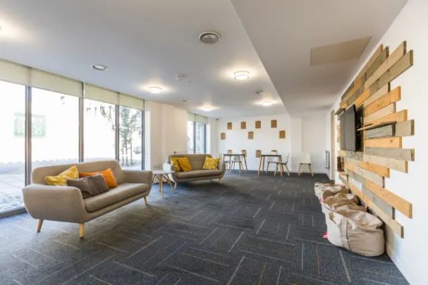 Gold Studio Accessible - Photo 1