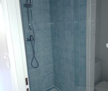 Location Appartement 1 pièce 26m² BOIS GUILLAUME 76230 - Photo 3