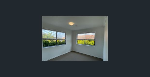 Modern 2 Bedroom Unit - Photo 1