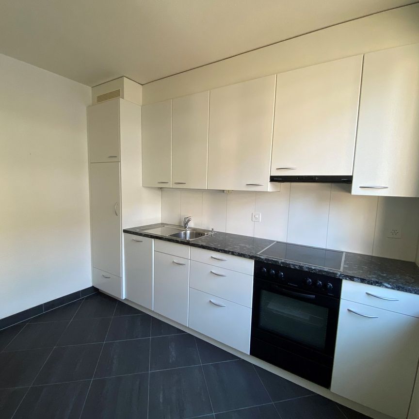 3.5 Zimmer, 60 m², EG - Foto 1