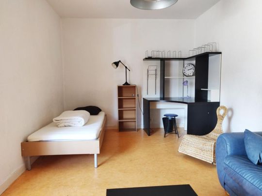 APPARTEMENT T1 [MEUBLE] A LOUER A ROANNE - BARON DU MARAIS - Photo 1