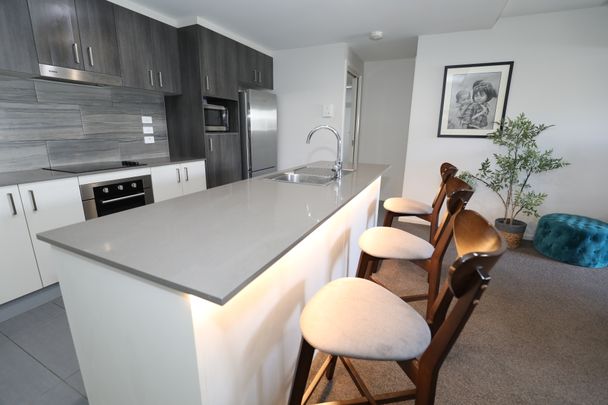 146/35 Oakden Street, Greenway ACT 2900 - Apartment For Rent - $560 | Domain - Photo 1