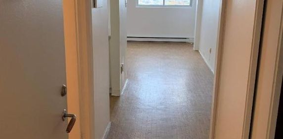 1 CH - 1 SDB - Montréal - $1,645 /mo - Photo 2