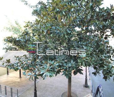Location Appartement 1 pièce 21m² NIMES 30000 - Photo 1