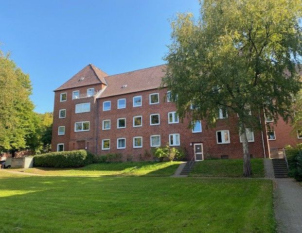 Modernisierte 2 Zimmer Wohnung zu vermieten! - Foto 1