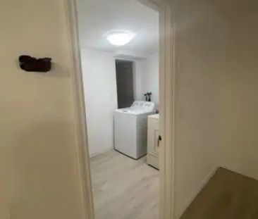 Cozy 2 bedroom basement suite available October 1!! | 9842 79 Stree... - Photo 1