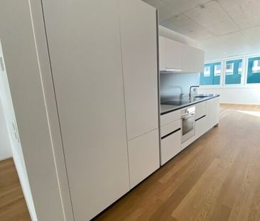 Single apartment in the Tribschenquartier - Photo 2