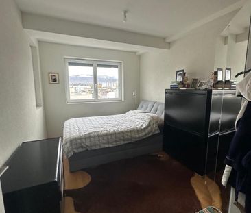 Appartement de 6 pièces à Carouge - Photo 6