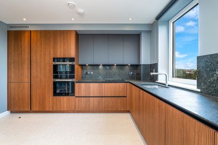 APARTMENT 61, ARDOYNE HOUSE, PEMBROKE PARK, DUBLIN 4, D04 X788 - Photo 4