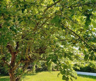 Torparegatan 2 - Foto 4