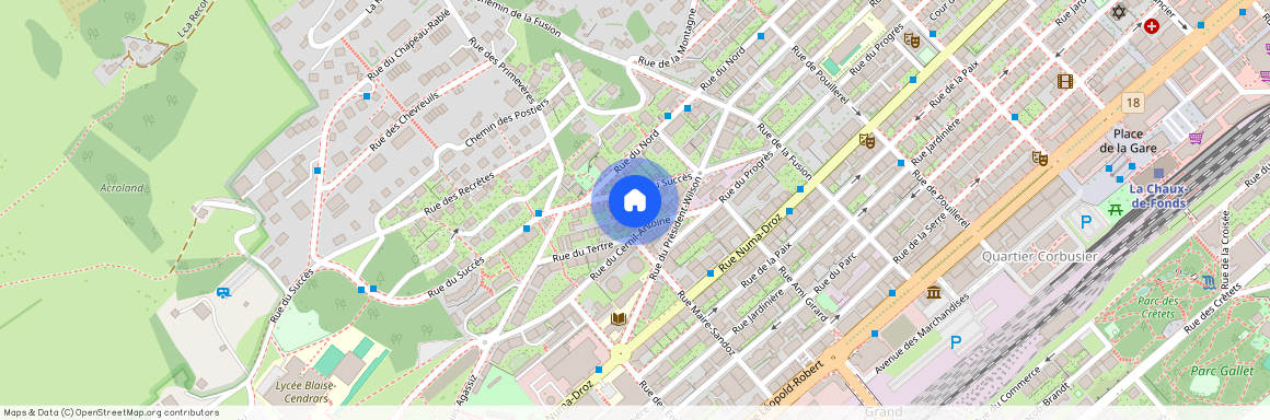 2300, La Chaux-de-Fonds, Rue Cernil-Antoine, 8