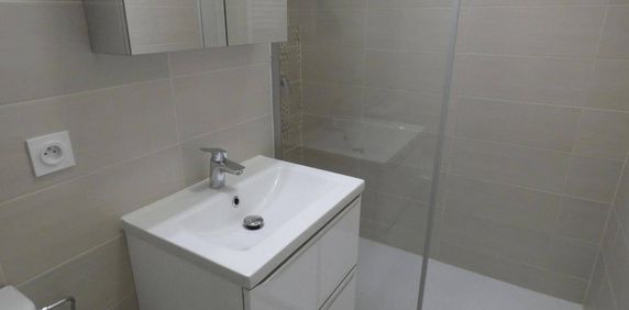 Location appartement ancien 1 pièce 29.43 m² à Annemasse (74100) 5 - Photo 2